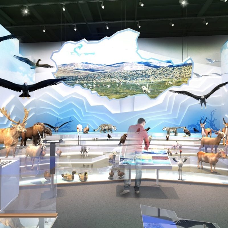 上海自然博物馆-青藏高原展区 图片 1