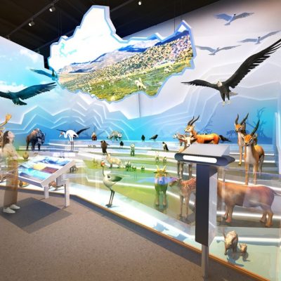 上海自然博物馆-青藏高原展区 图片 3