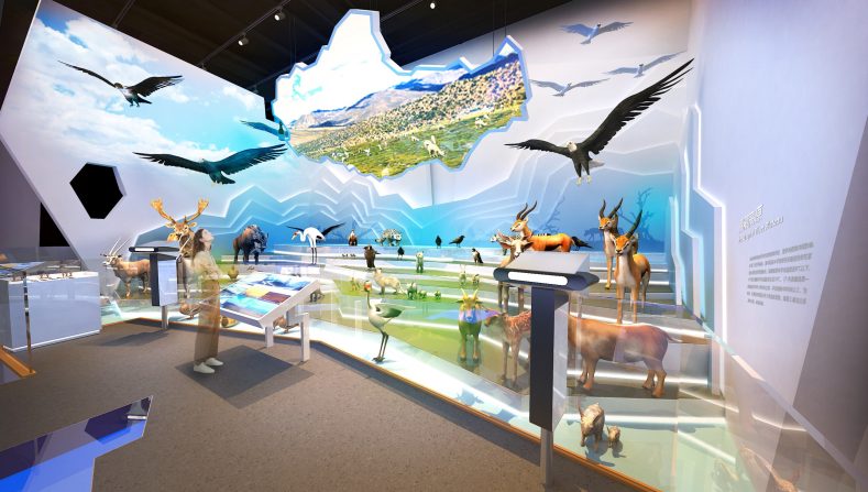 上海自然博物馆-青藏高原展区